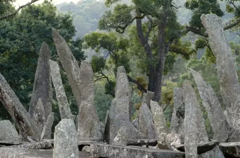 Monolithes de Niartang
