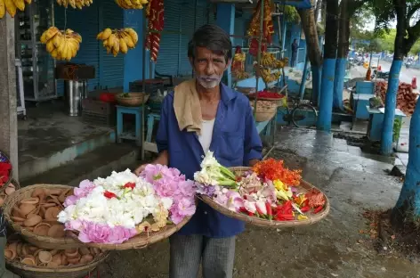 Visages de l'Assam