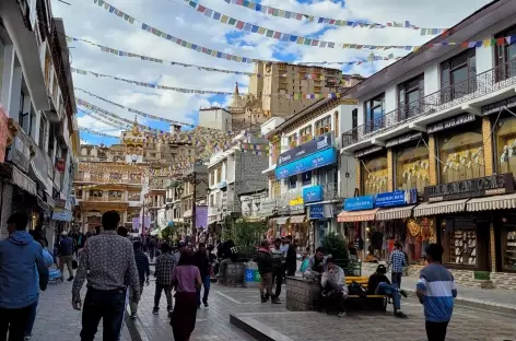 Leh-Ladakh-indus