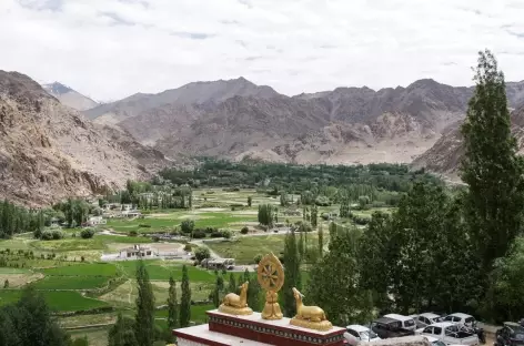 Phyang-Ladakh-indus