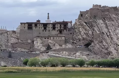 Shey-Ladakh-indus