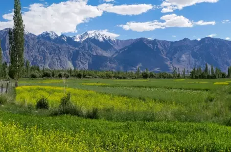 Vallée de la Nubra