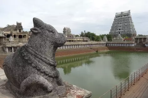 sanctuaire du Naṭarāja, Chidambaram - Inde - 