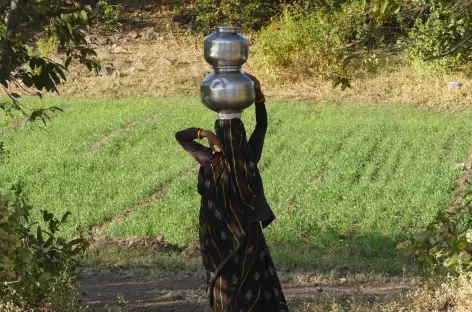 Activité rurale, Madhya Pradesh