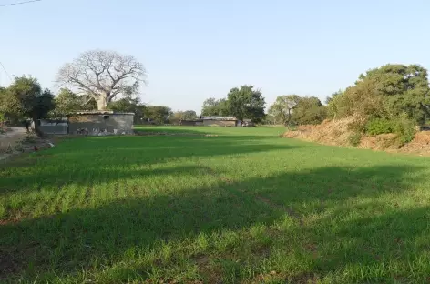 Villages, Mandu