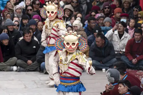 Festival - Ladakh