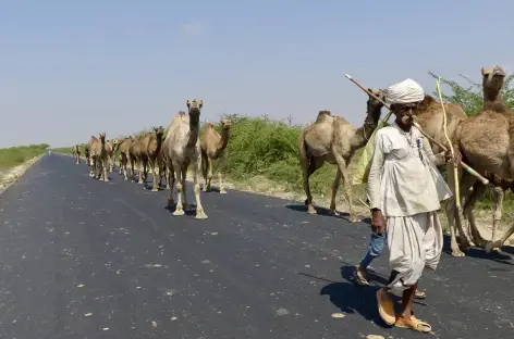 Sur la route près de Bhuj - Gujarat