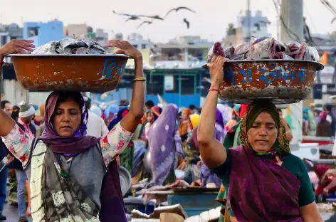 Marché aux poissons à Diu - Gujarat