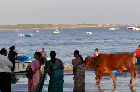 Plages à Diu - Gujarat