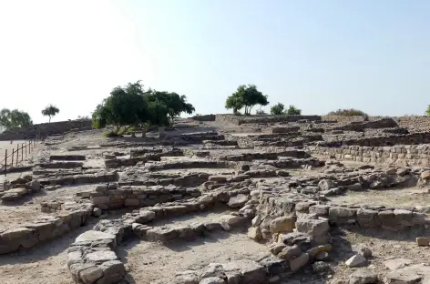 Civilisation de l'Indus - Gujarat