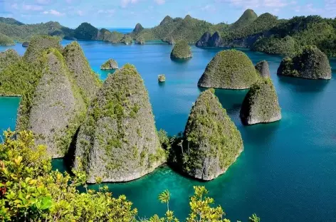 Archipel de Wayag, Raja Ampat - Indonésie