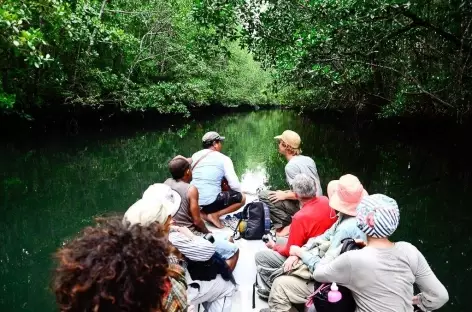 Remontée d’un cours d’eau, au coeur de la mangrove, île de Batanta - Indonésie