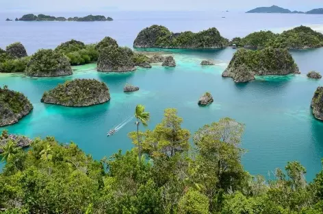 Archipel de Penemu, Raja Ampat - Indonésie