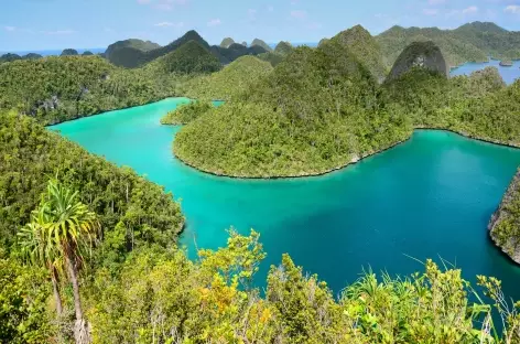 A l'est la grande île de Misool, Raja Ampat - Papouasie Occidentale