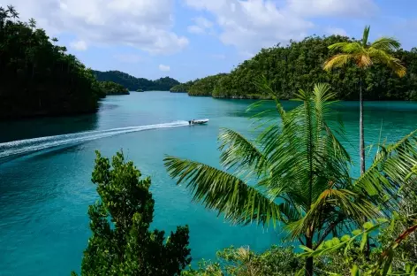 Archipel de Wayag, Raja Ampat - Indonésie