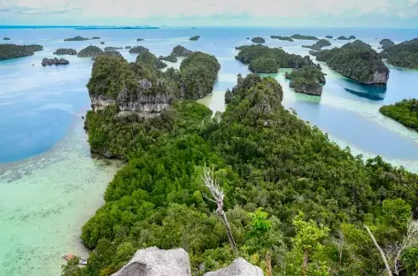 Au large de l’île de Misool, Raja Ampat - Indonésie