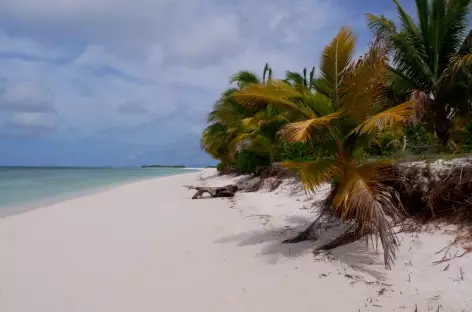 Plage paradisiaque,  Raja Ampat - Indonésie