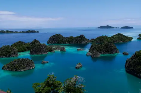 Archipel de Wayag, Raja Ampat - Indonésie