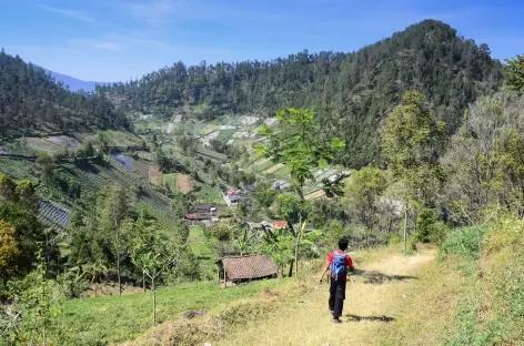 Marche vers les plantations de Tawangmangu, Java - Indonésie - 