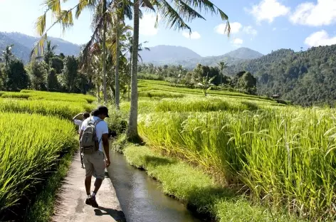 Dans les environs de Munduk, Bali - Indonésie