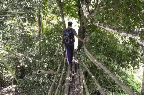 Etape de marche entre Belimbing et Pujungan, Bali - Indonésie