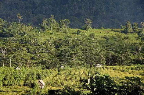 Dans les alentours de Sidemen, Bali - Indonésie