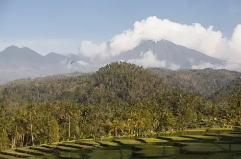 Paysage vers Munduk, Bali - Indonésie