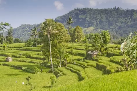 Rizières en terrasses vers Sidemen, Bali - Indonésie