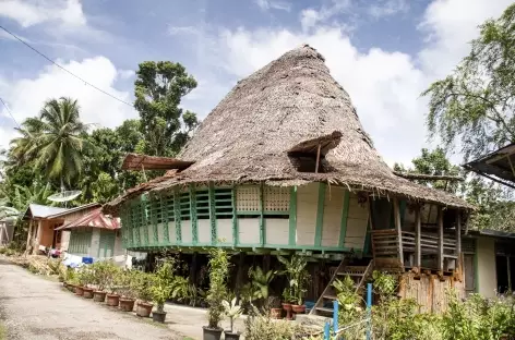 Maison ovale dans le village de Tumori, île de Nias, Sumatra - Indonésie