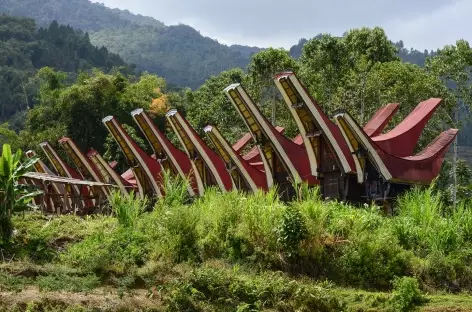 Village traditionnel toraja, Sulawesi - Indonésie