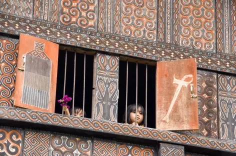 Maison traditionnelle toraja, le tongkonan, Pays Toraja, Sulawesi - Indonésie