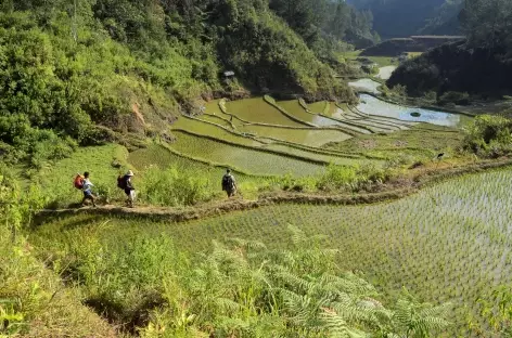 Trek en pays toraja, vers la rivière Sadan, Sulawesi - Indonésie