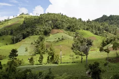 Plantations en pays minahasa, Sulawesi - Indonésie