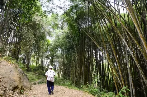 Trek entre Old Karunanga et Aqung, Pays Toraja, Sulawesi - Indonésie