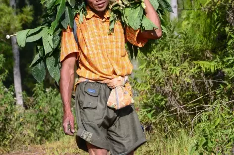 Rencontre en chemin..., Pays Toraja, Sulawesi - Indonésie