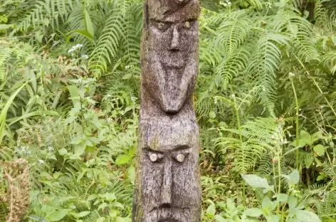 Totem..., Sulawesi - Indonésie