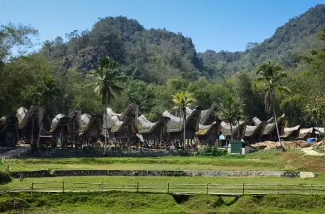 Village de Ke'te Kesu, Pays Toraja, Sulawesi - Indonésie