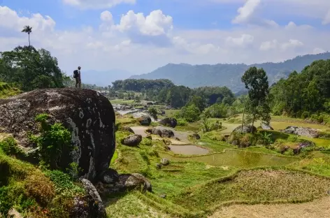 Trek dans la région de Batutumonga, Sulawesi - Indonésie