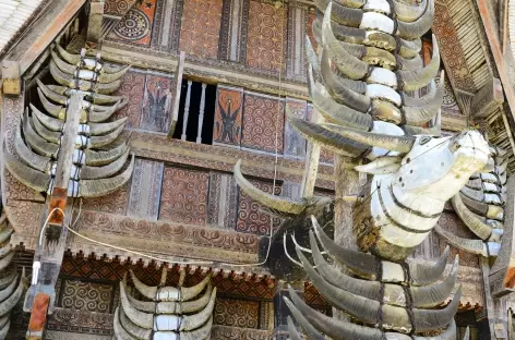 Tongkonan et ses cornes de buffles dans le village de Palawa, Pays Toraja, Sulawesi - Indonésie