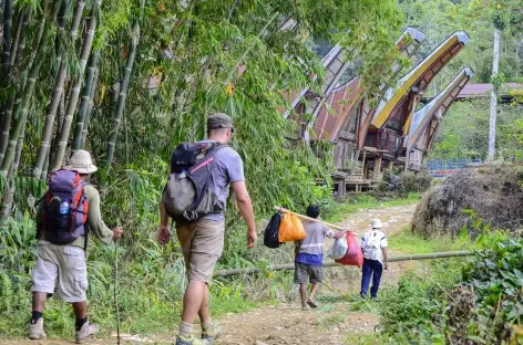 Marche vers le village de Lempo, Pays Toraja, Sulawesi - Indonésie