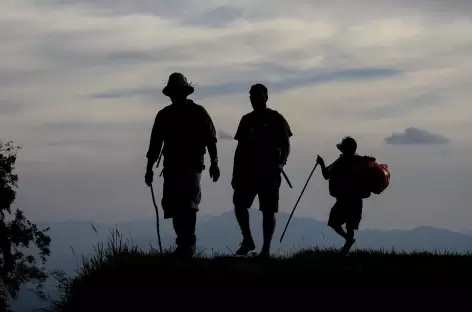 Etape de trek entre la rivière Sobek et Lempong, Pays Toraja, Sulawesi - Indonésie