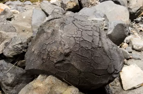 Vers le volcan Mahawu..., Sulawesi - Indonésie