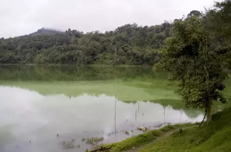 Lac soufré de Linau, Sulawesi - Indonésie
