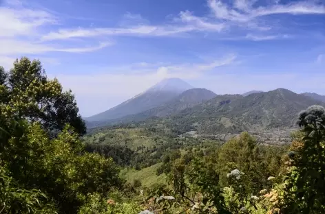 Volcan Semeru au loin, Java - Indonésie