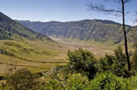 Dans la caldeira du Tengger, Java - Indonésie