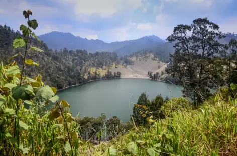Lac de Ranu Kumbolo, trek du Semeru, Java - Indonésie