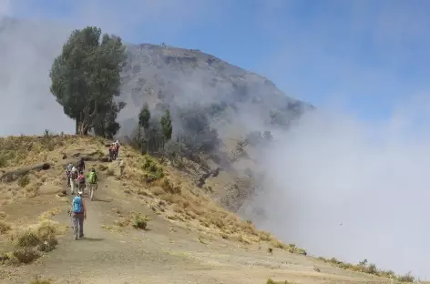 Marche vers le camp Pelawangan II (2700 m), volcan Rinjani, Lombok - Indonésie