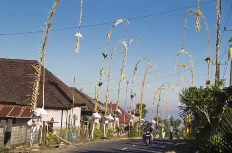 Lors de cérémonies religieuses à Bali - Indonésie