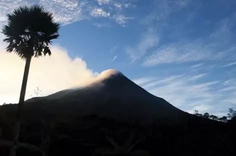 Lever de soleil au pied du volcan Merapi, Java - Indonésie