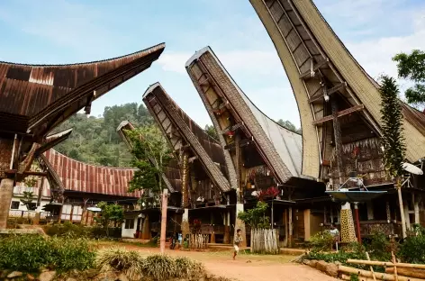 Extension pays Toraja